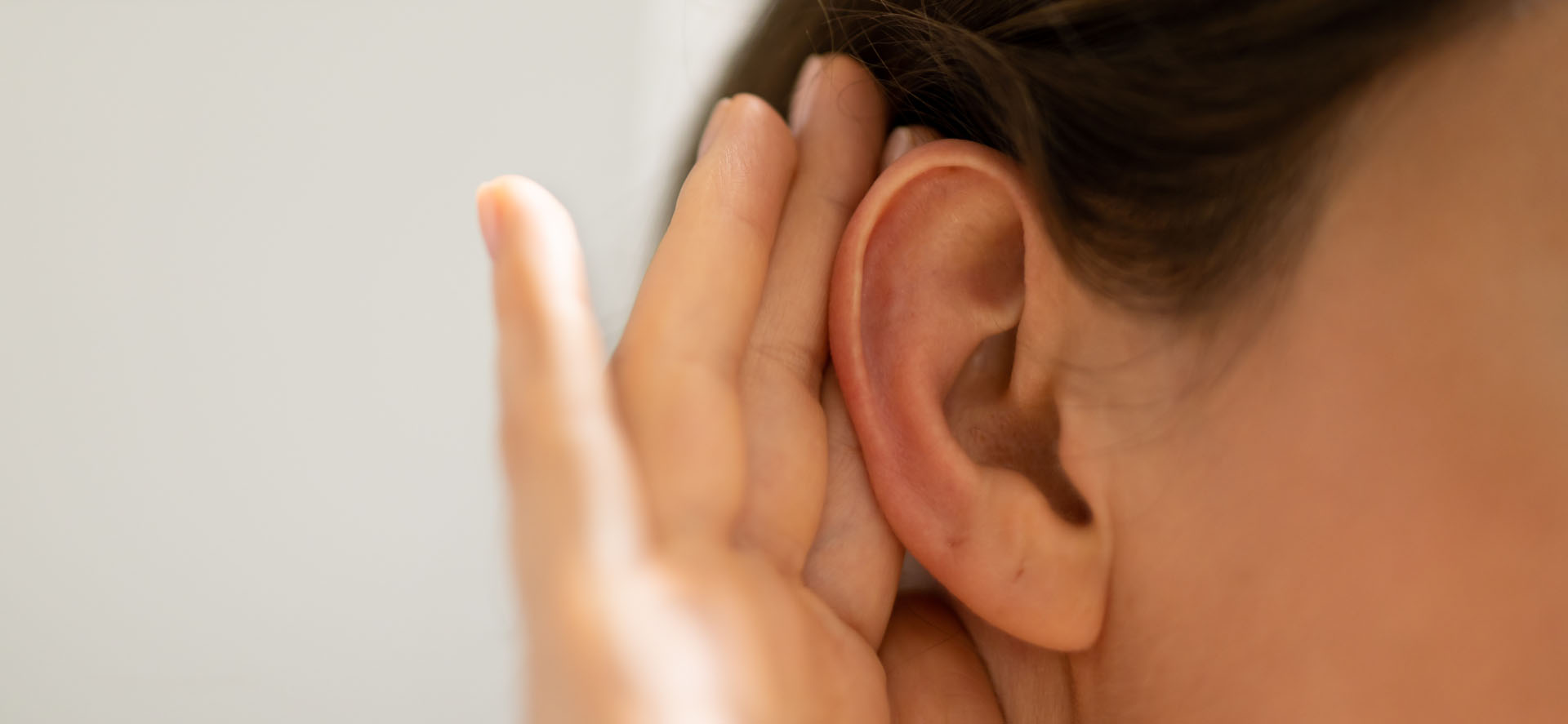 Hear New Mexico Hear New Mexico